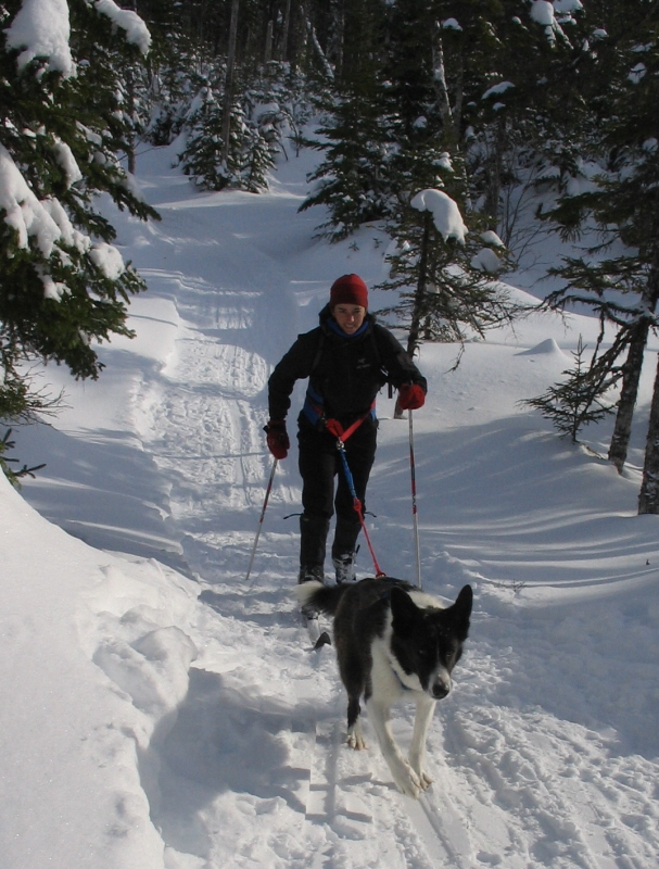 Sarah Skijourning with Inauk