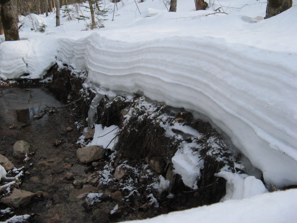 History of winter Feb 20 08. History of winter Feb 20 08.