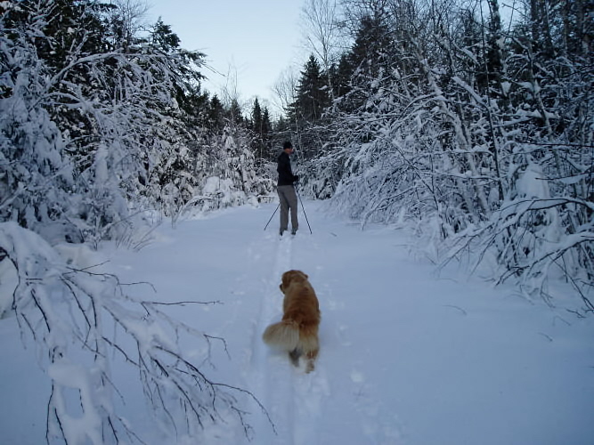 Keith & Joey Nov 2008.jpg Keith & Joey Nov 2008.jpg