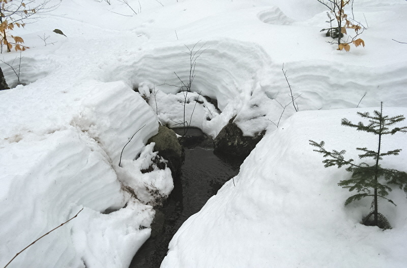 history of winter  history of winter