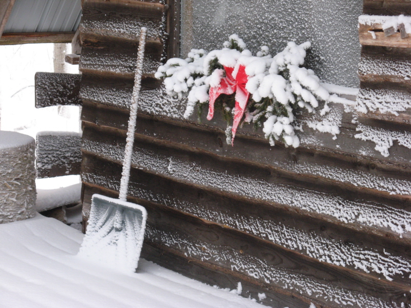 Plastered at Christmas Plastered at Christmas