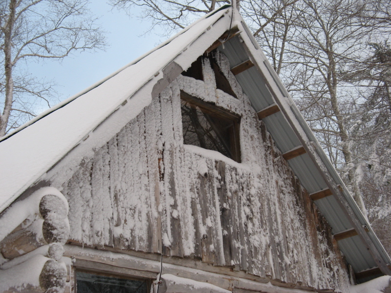 plastered  plastered