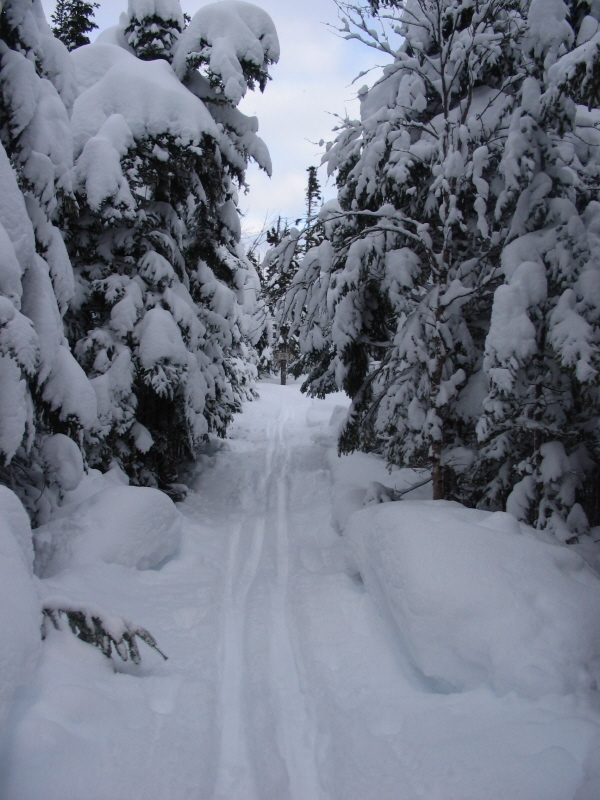 rabbit warren Jan 17 2011 rabbit warren Jan 17 2011