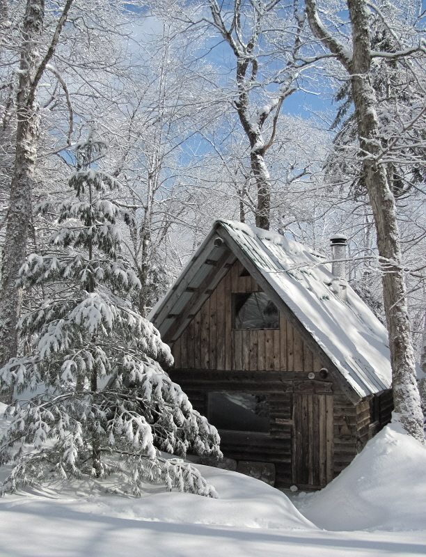 Sauna 2011.jpg Sauna 2011.jpg