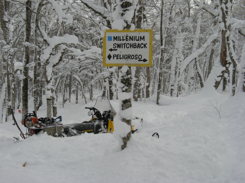 Skandic buried on Peligroso.jpg Skandic buried on Peligroso.jpg