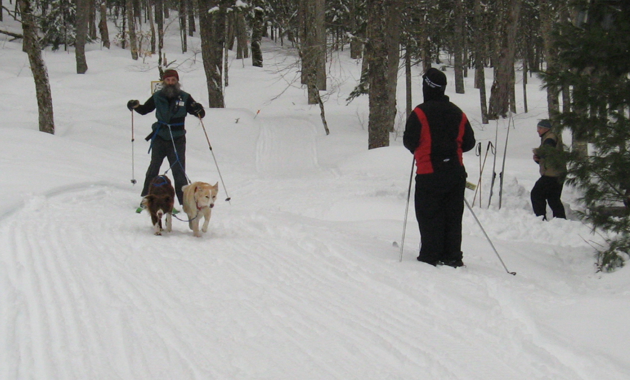 Skijorning Skijorning