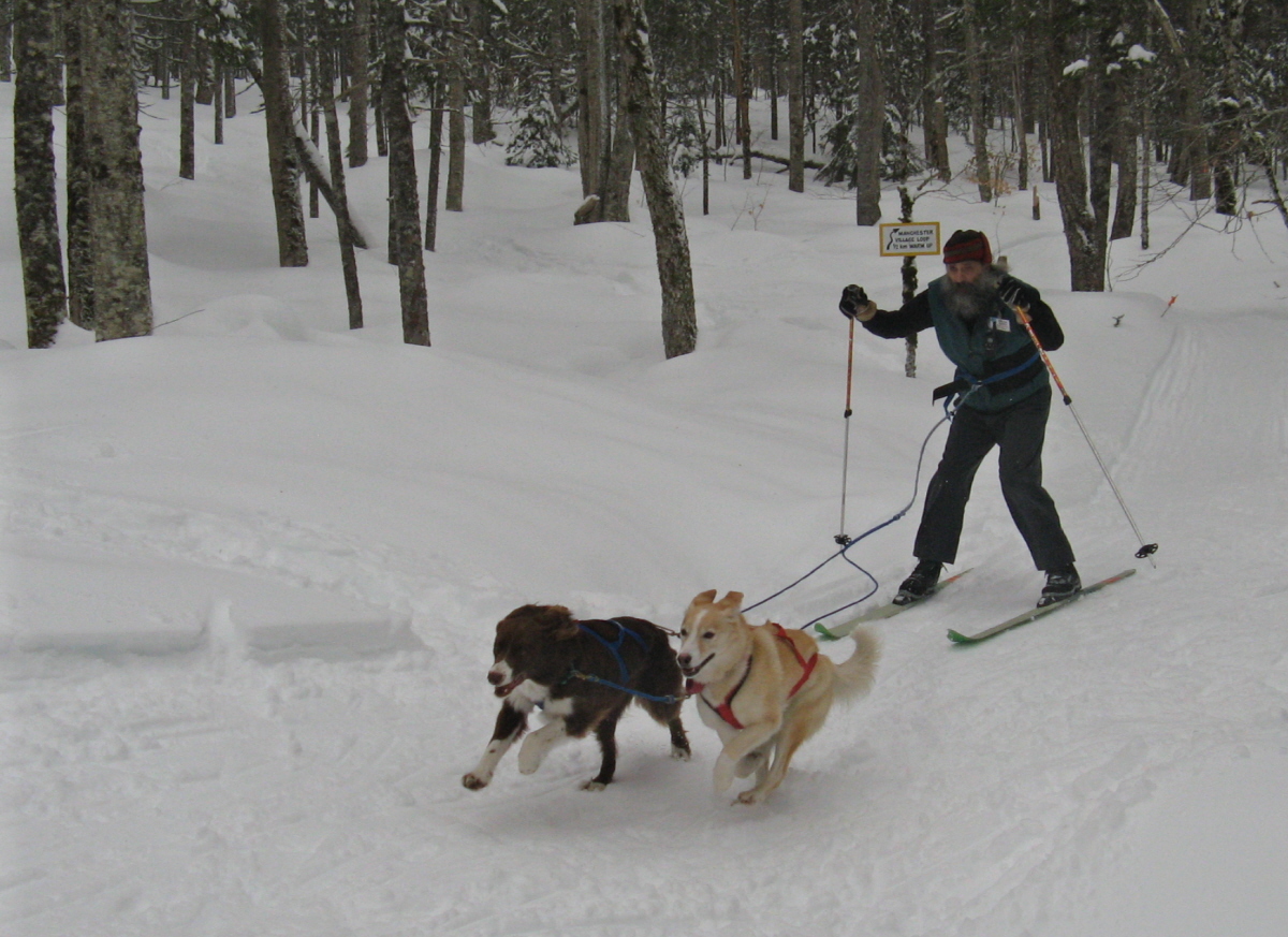 Skijorning Skijorning