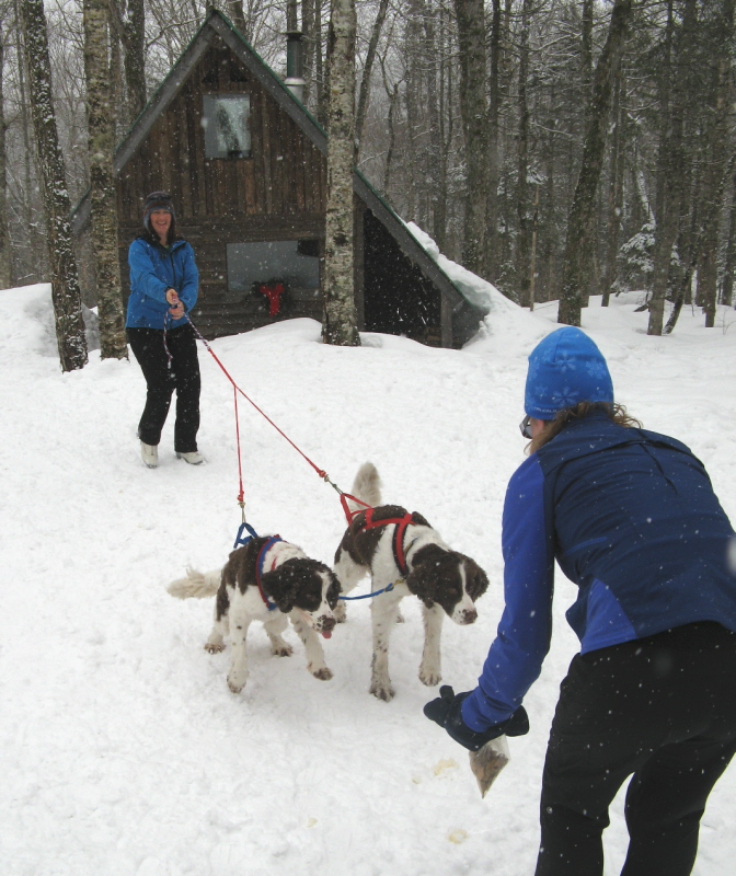 Skijourning Skijourning