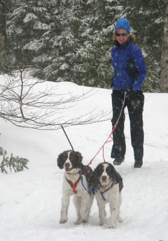 Skijourning Skijourning