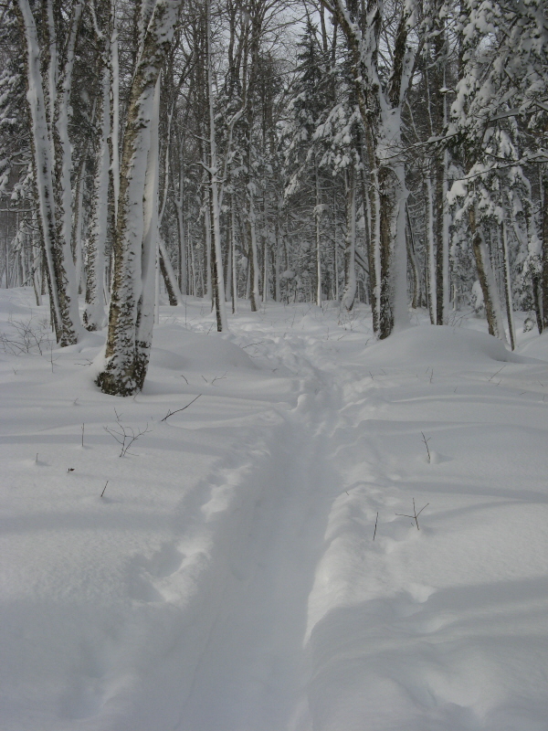 Skin track. Skin track.