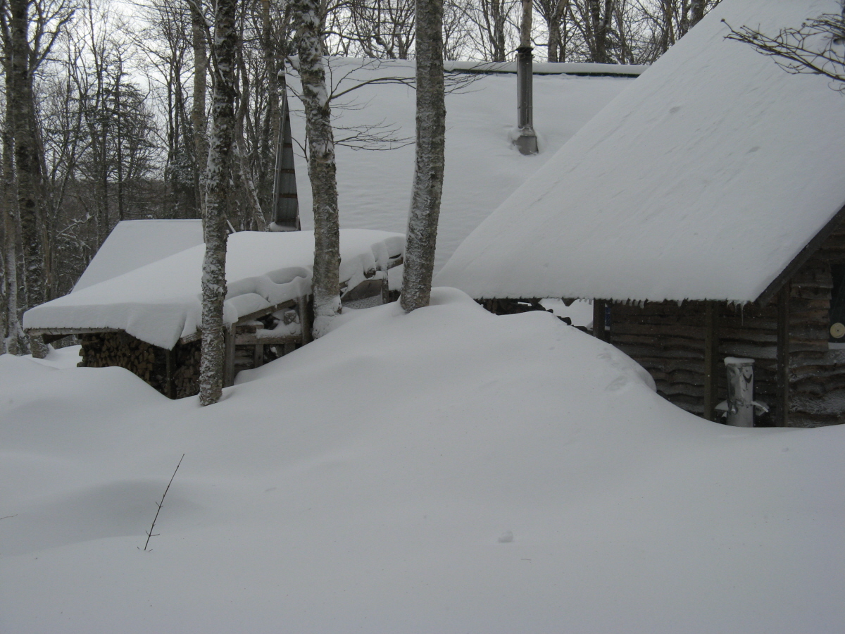 Snow in Village 2 Feb 20 08.jpg