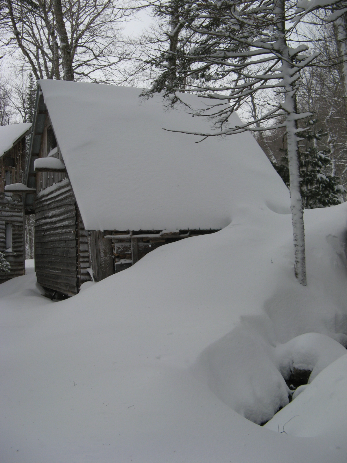 Snow in Village Feb 20 08.jpg Snow in Village Feb 20 08.jpg