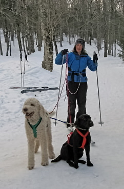 Tess & BaBa harness up. Tess & BaBa harness up.