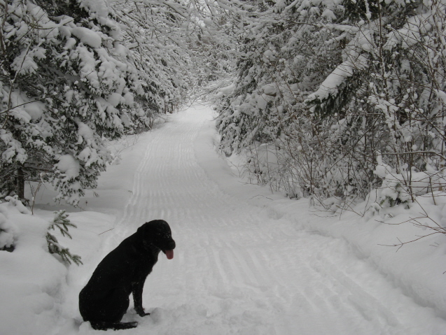 Tessie & Trail.jpg Tessie & Trail.jpg