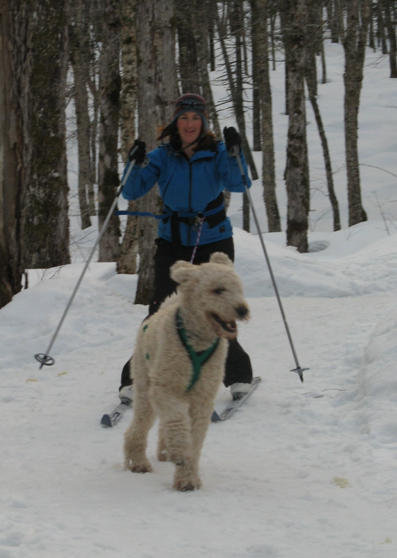 BaBa Skijourning BaBa Skijourning