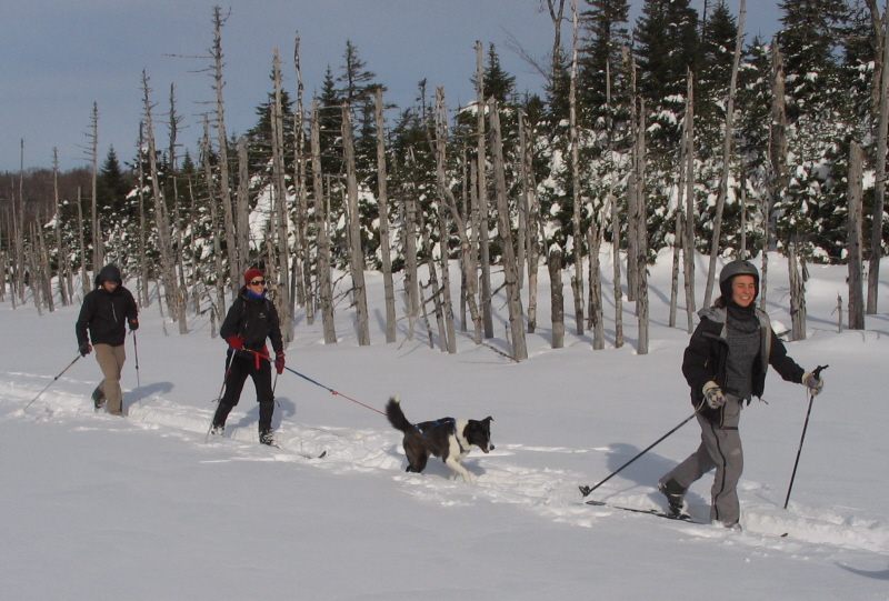 Three at the Lake web.jpg Three at the Lake web.jpg