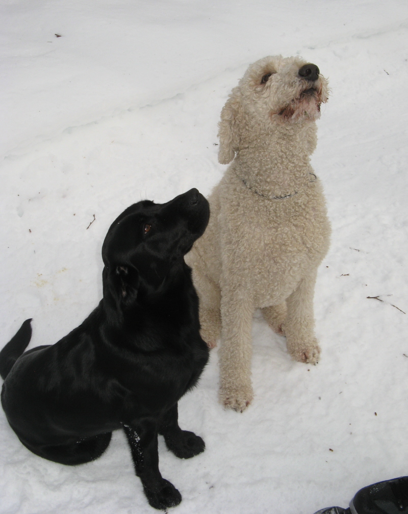 Baba & Tess feb 09 Baba & Tess feb 09