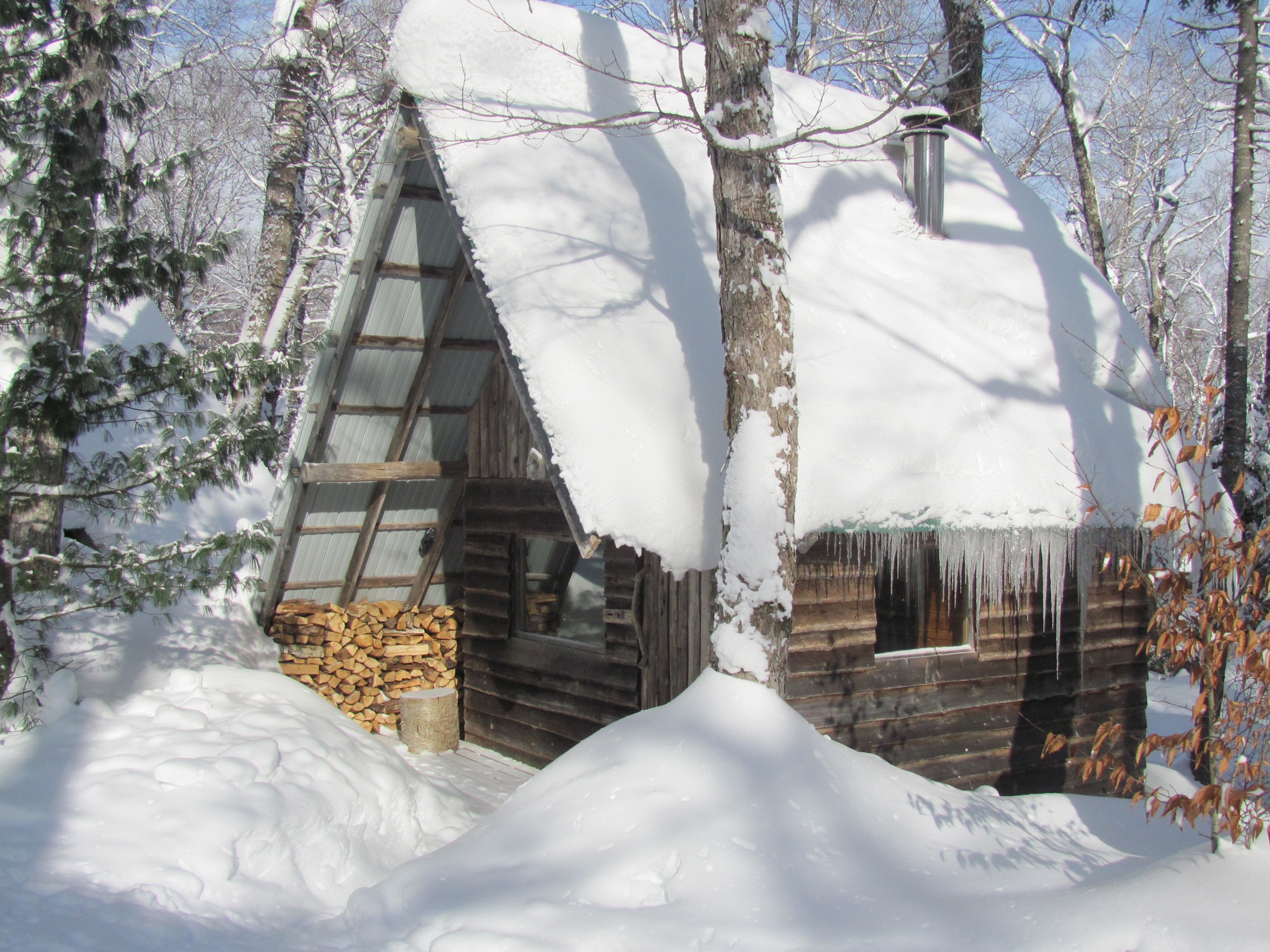 Zoom in Sauna Jan 01 2014.jpg