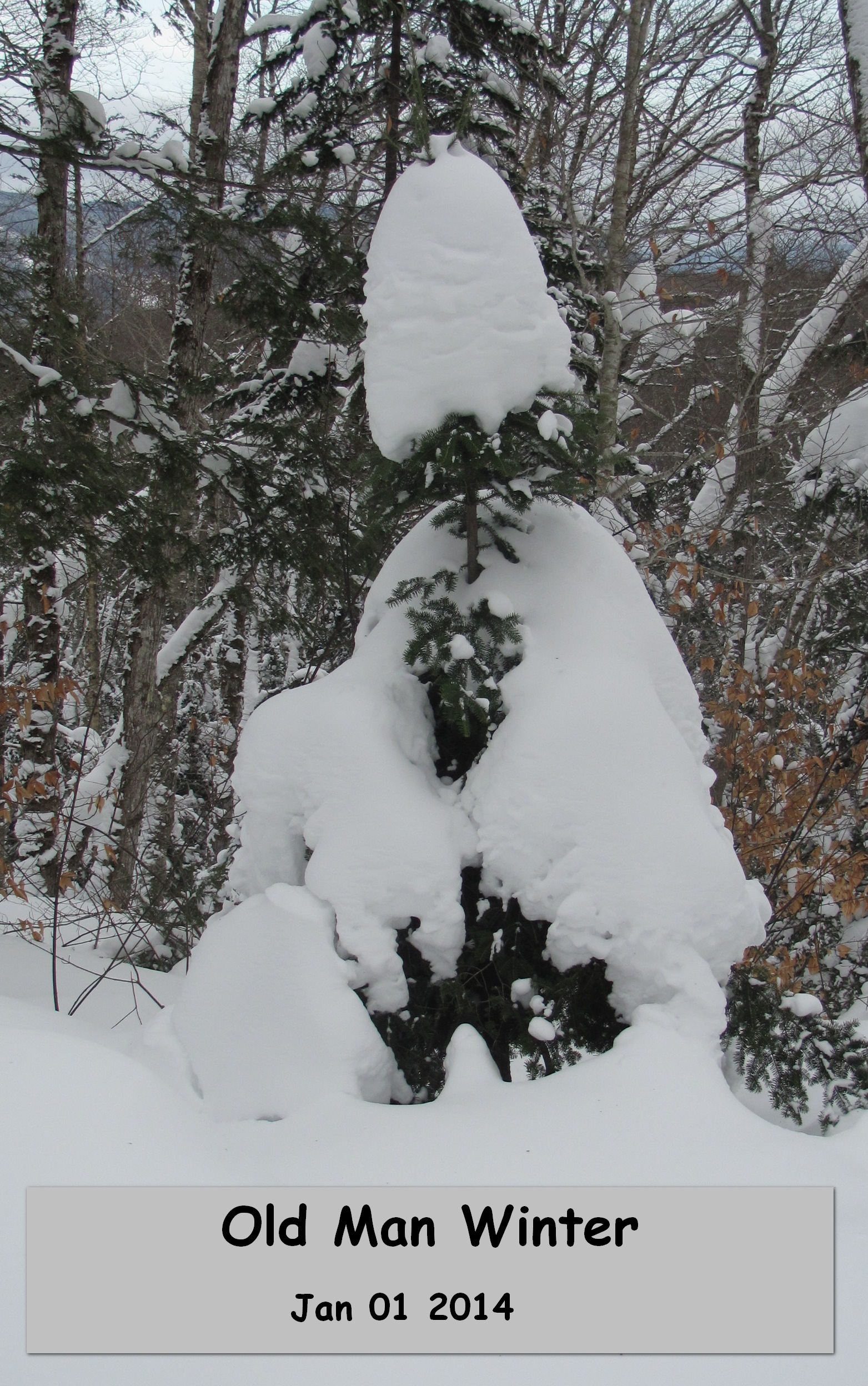 Old Man Winter + caption.jpg Old Man Winter + caption.jpg