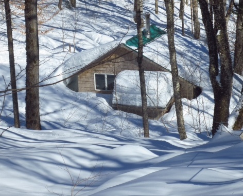 Zoom in Chalet Buried.jpg