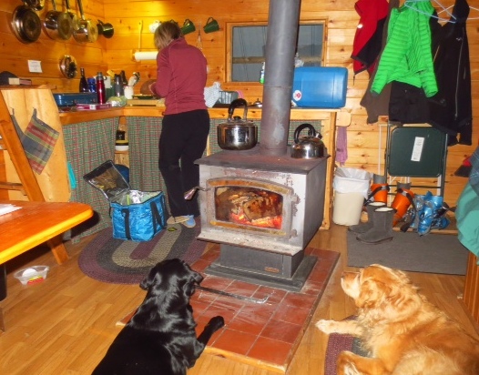 8 Tree Cabin inside with dogs.jpg 8 Tree Cabin inside with dogs.jpg