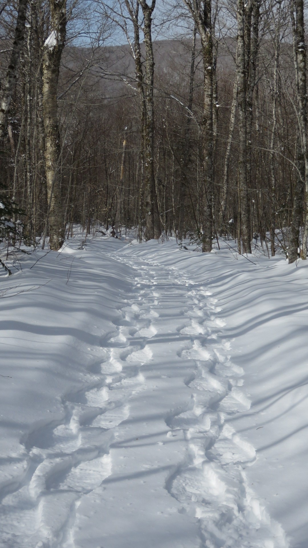 Huron Snoshoes.jpg Huron Snoshoes.jpg