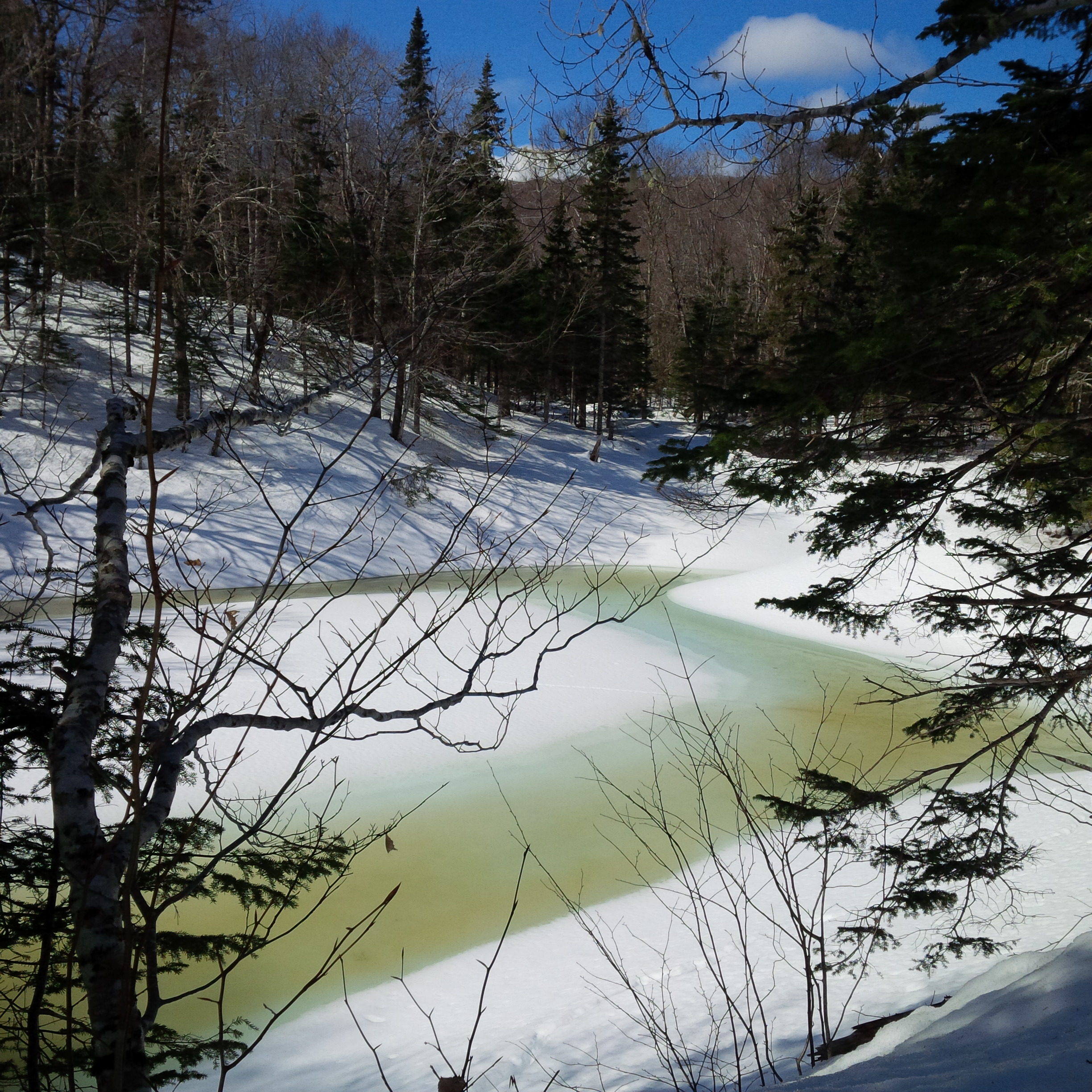 Zoom in Sink hole rink.JPG