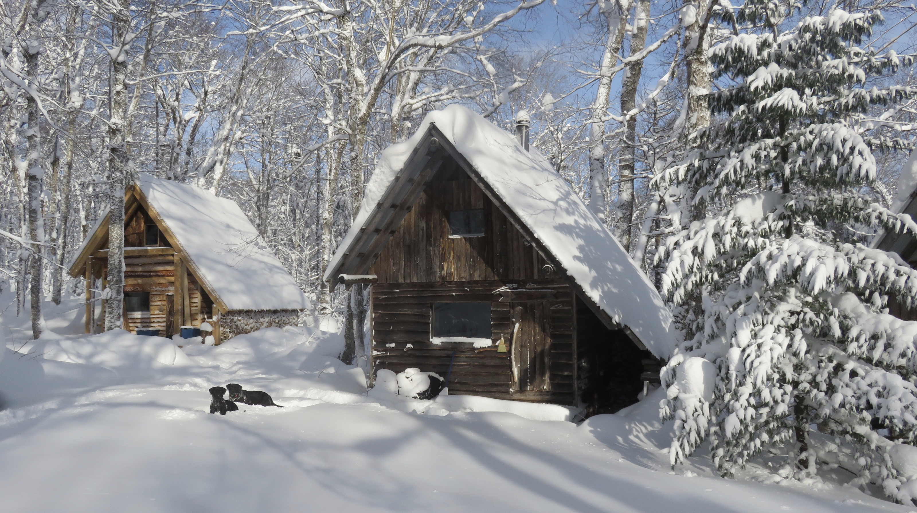 IMG_0629.jpg IMG_0629.jpg