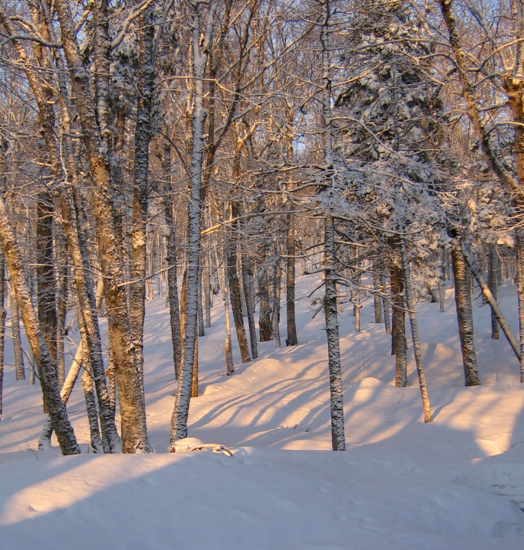 Zoom in Bald Mtn by Eileen