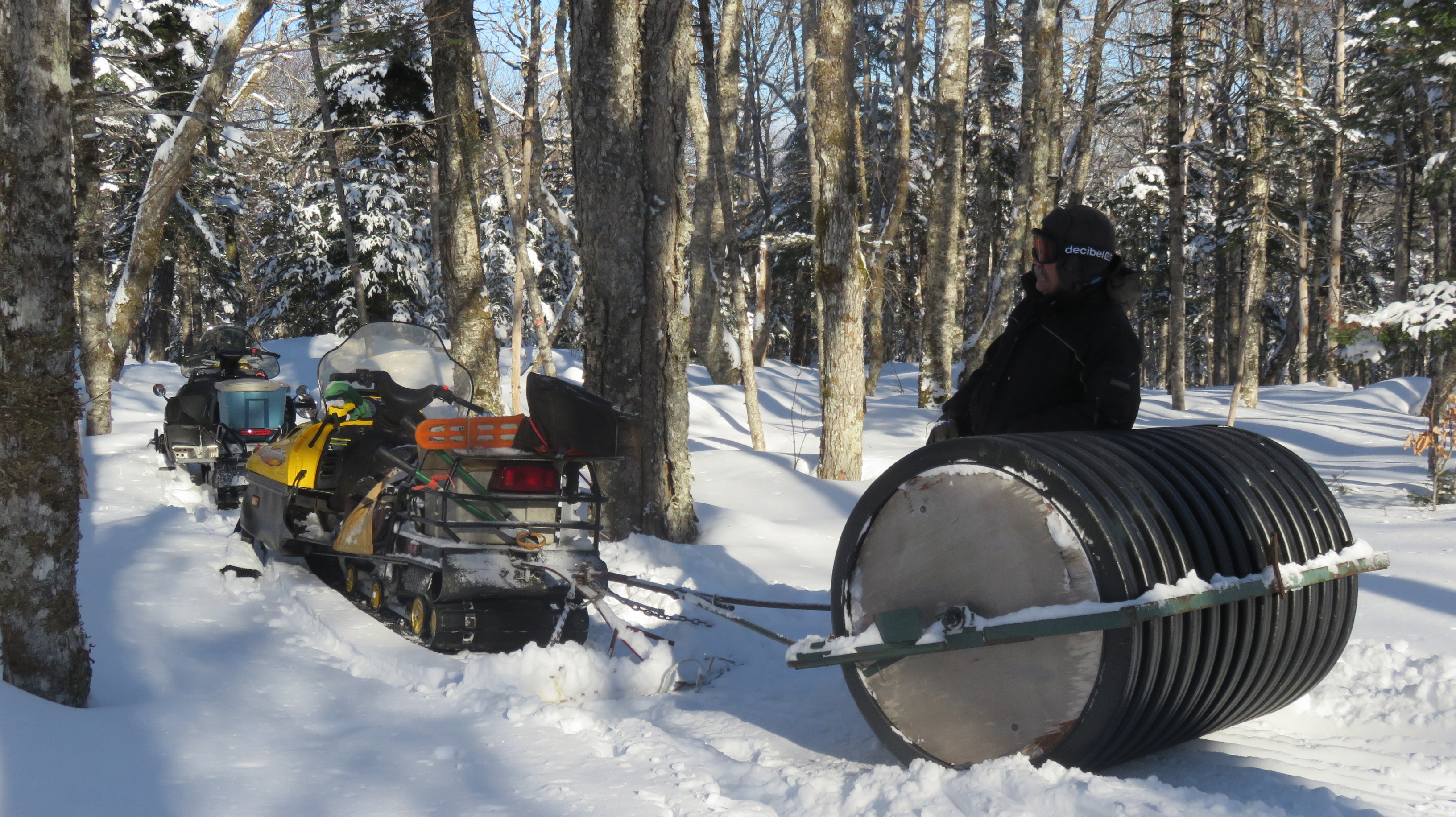 Zoom in NDP Grooming.