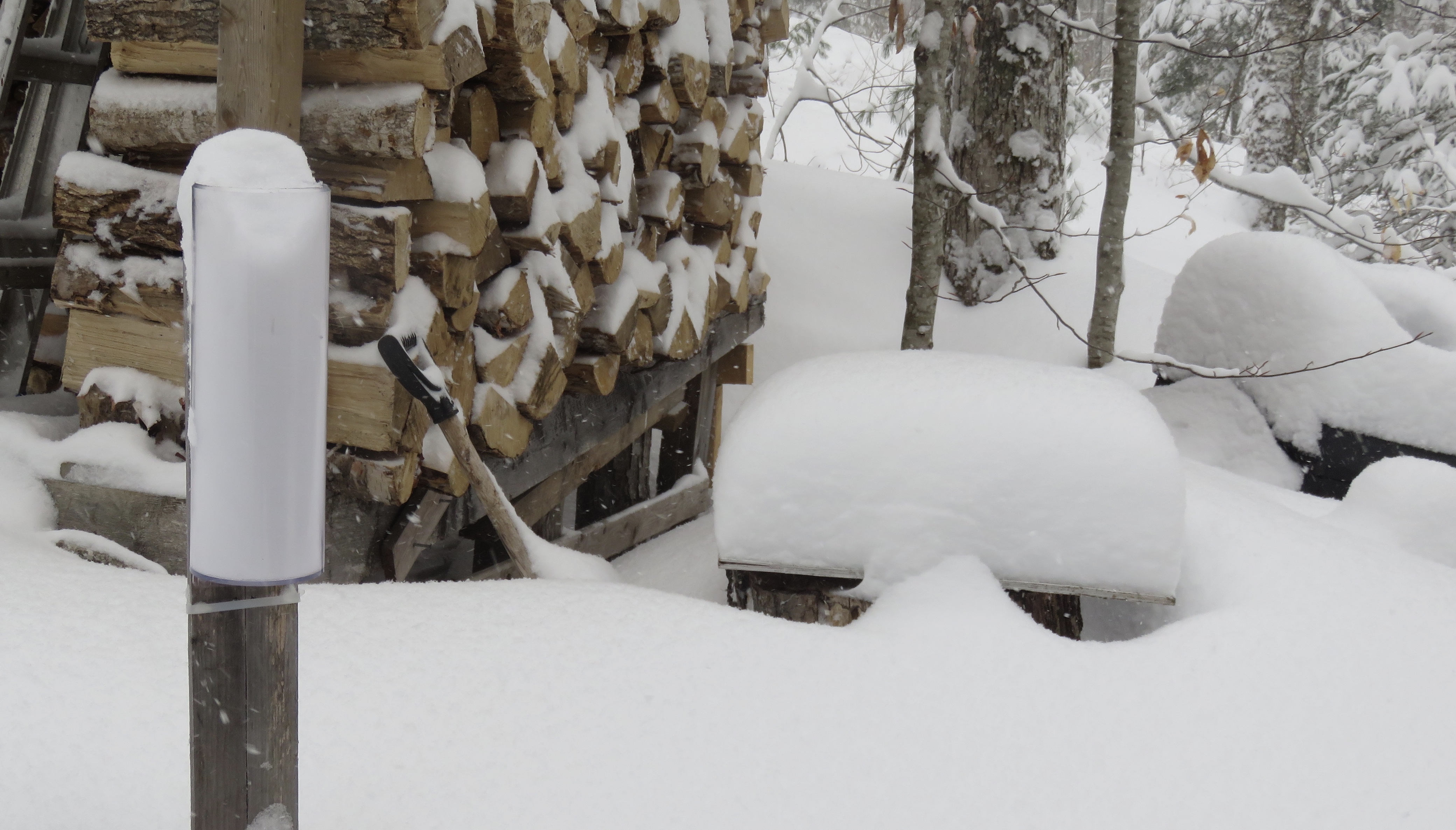 IMG_1425.jpg IMG_1425.jpg