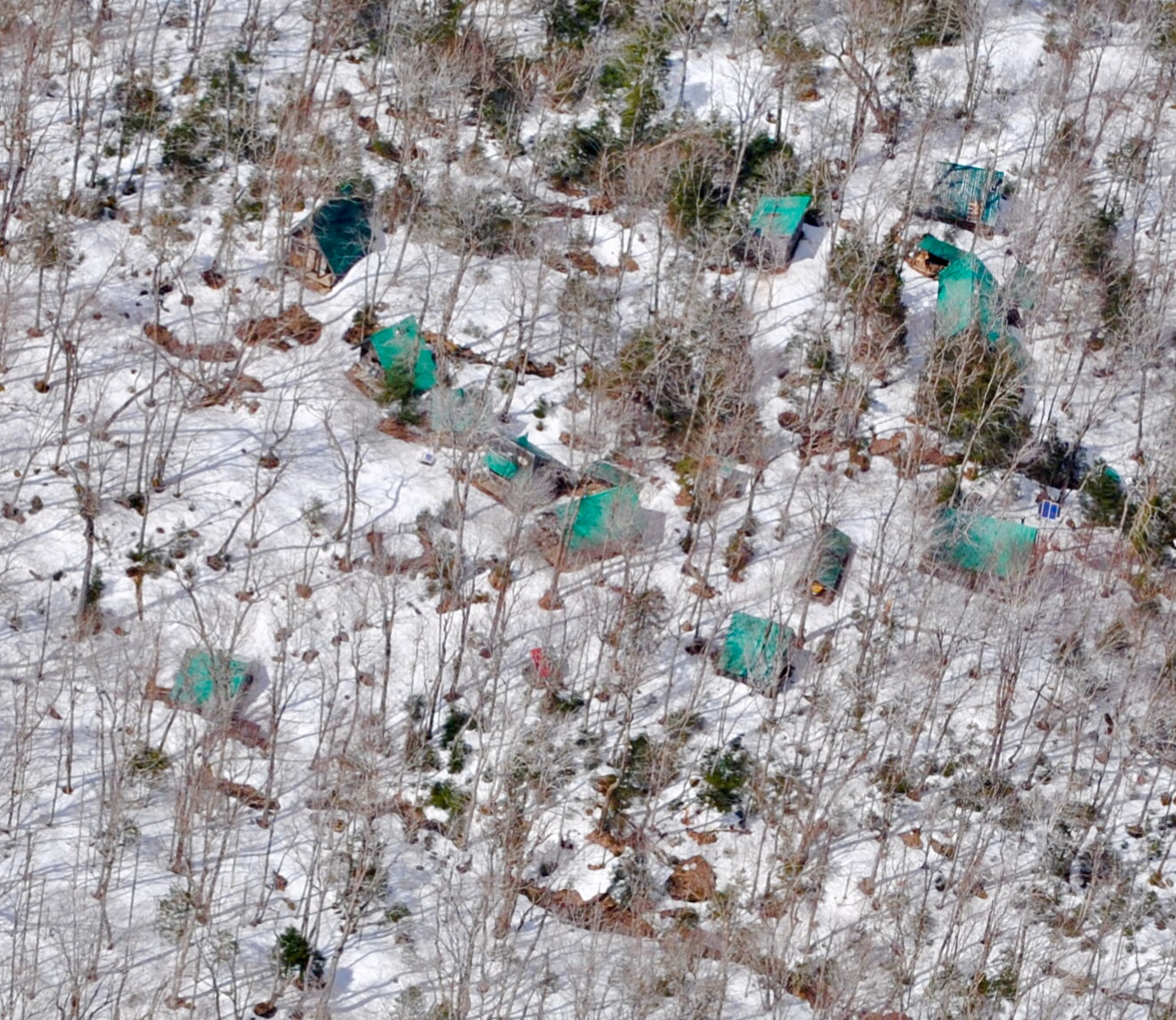 Zoom in Village aerial 2