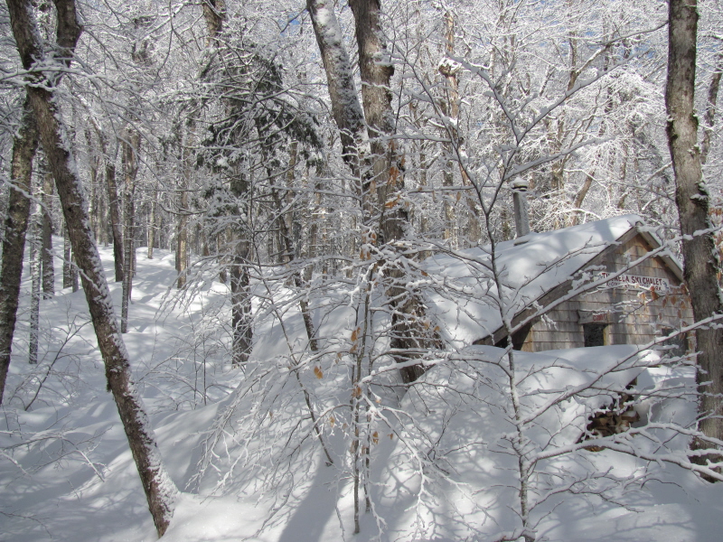 Chalet buried, winter 2011