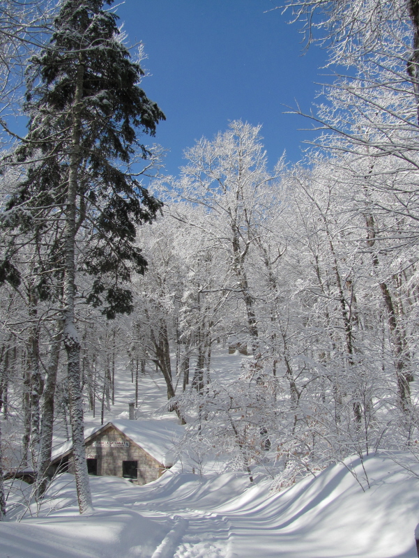 Chalet nestled at base of Telly Hill, Feb 2011 Chalet nestled at base of Telly Hill, Feb 2011