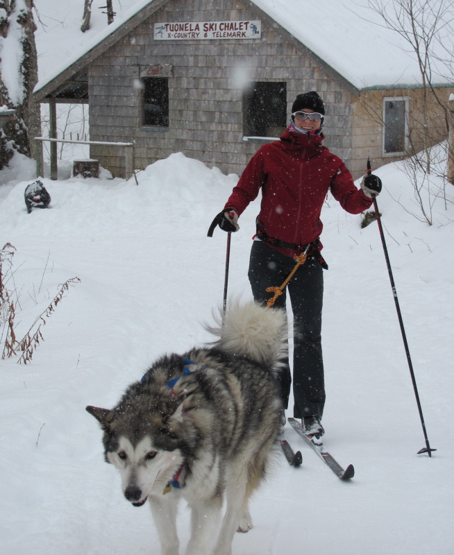 Zoom in Erica & Kootenay