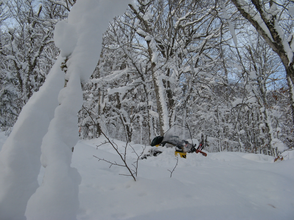 Hazards of grooming! Hazards of grooming!