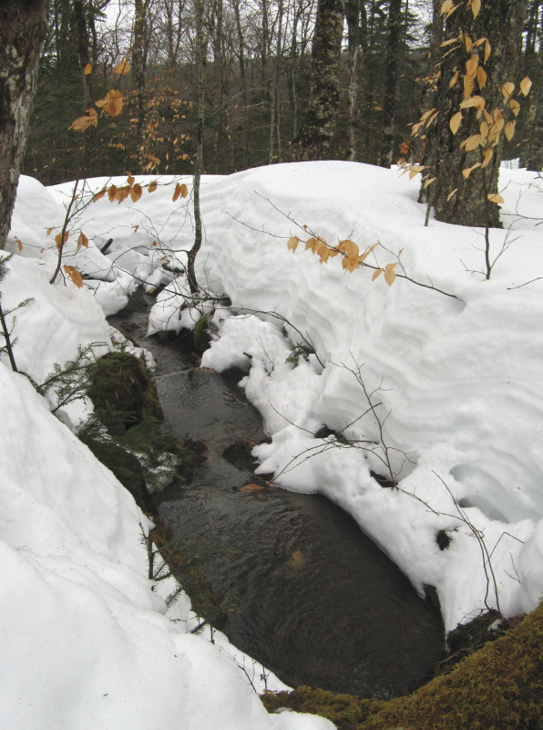 History of winter History of winter