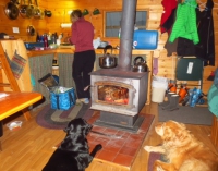 8 Tree Cabin inside with dogs.jpg